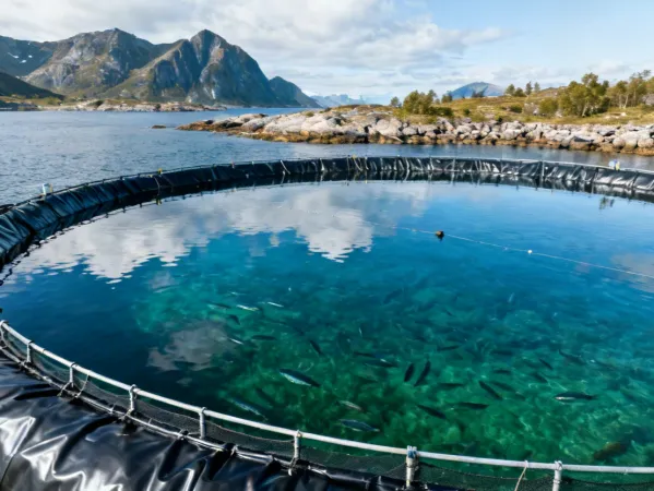 Aquaculture Geomembrane Liner Application